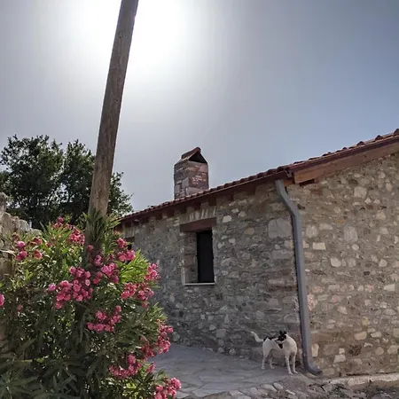 Bahab Pensiune Doganbey (Aydin)