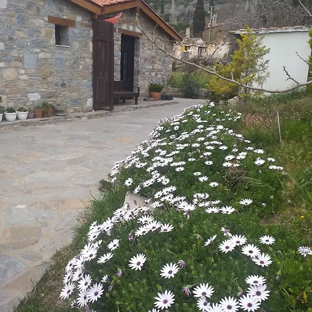 Vendégház Bahab 3*